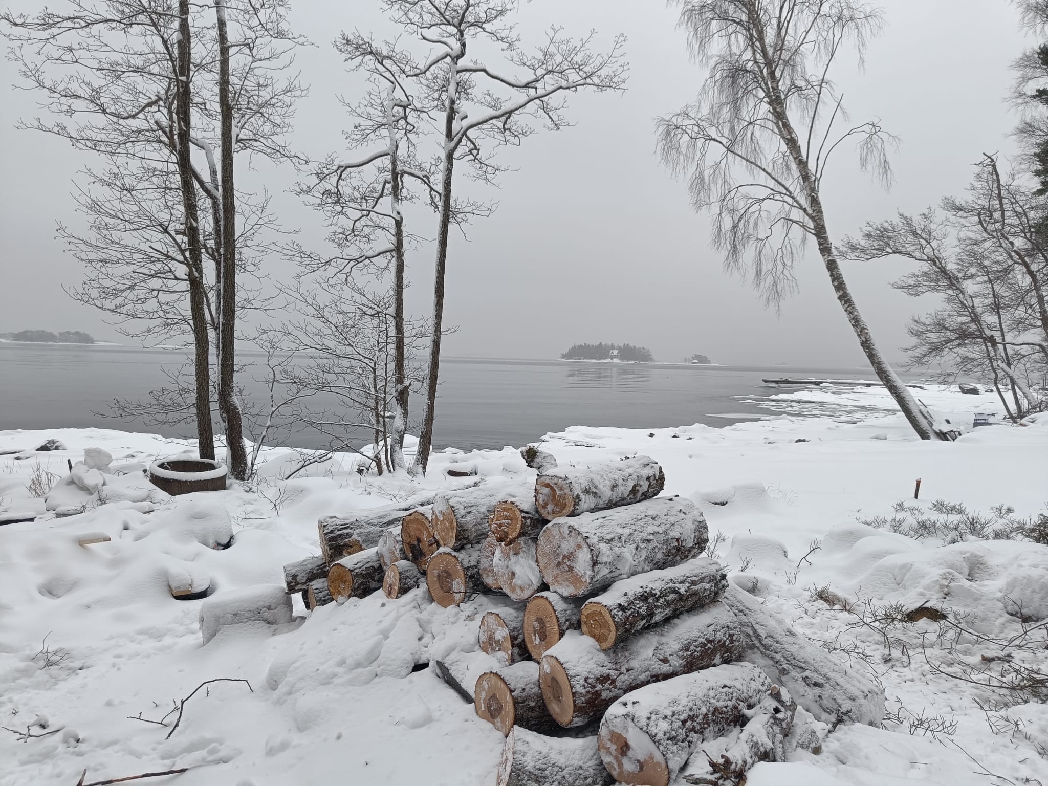 Luotettava puunhoidon ja puunkaadon ammattilainen yli 30 vuoden kokemuksella